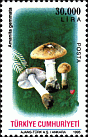 Briefmarke