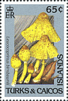 Briefmarke