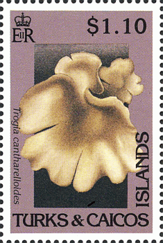Briefmarke