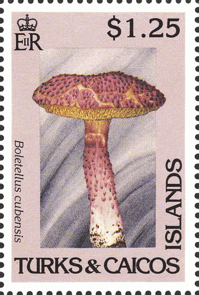 Briefmarke