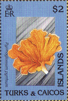 Briefmarke