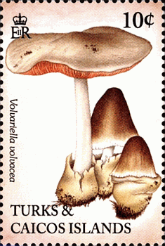 Briefmarke