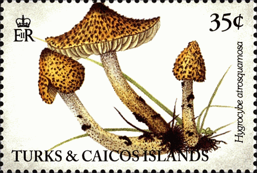 Briefmarke