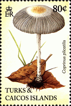 Briefmarke
