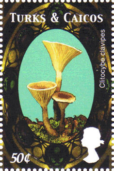 Briefmarke