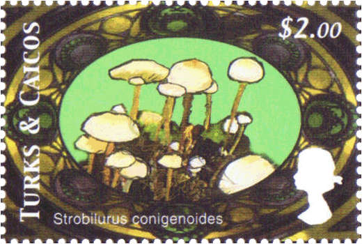 Briefmarke