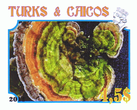 Briefmarke