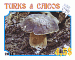 Briefmarke