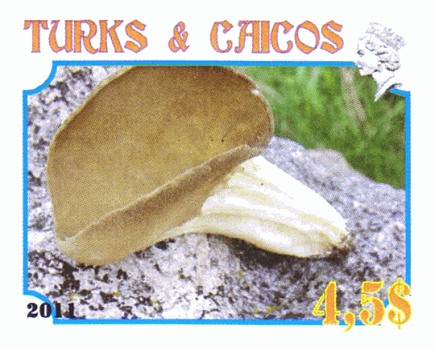 Briefmarke