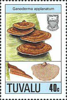 Briefmarke