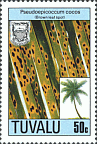 Briefmarke