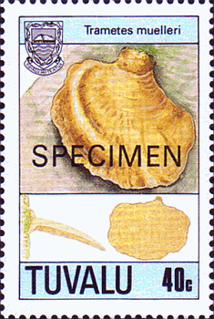 Briefmarke