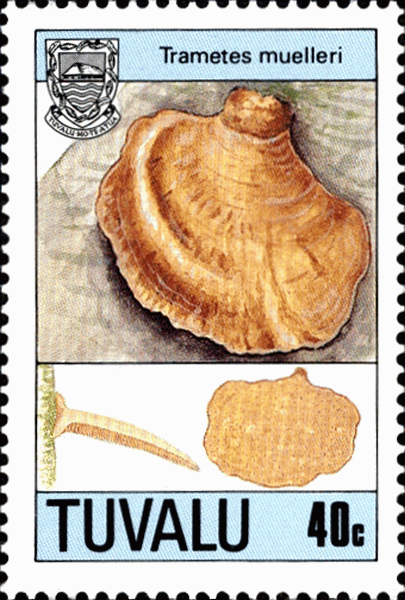 Briefmarke