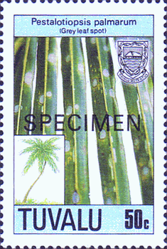 Briefmarke
