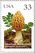 Briefmarke