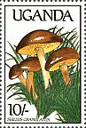 Briefmarke