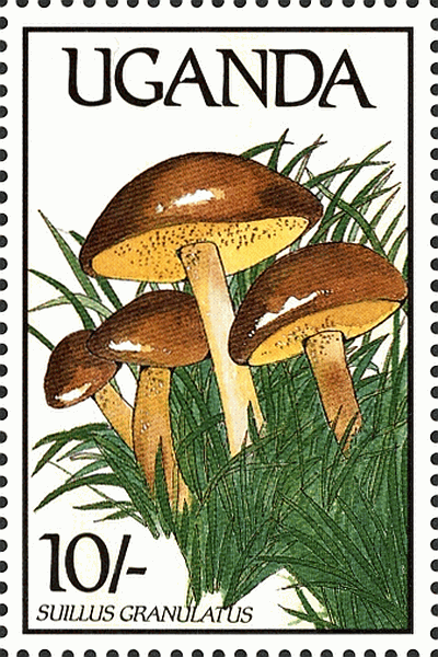 Briefmarke