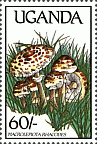 Briefmarke