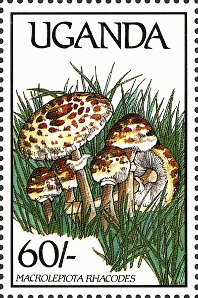 Briefmarke