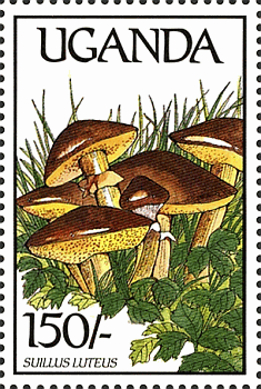 Briefmarke