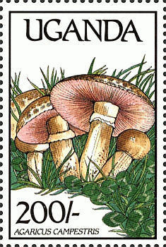 Briefmarke