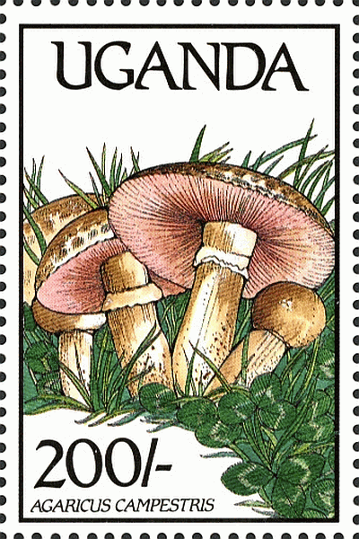 Briefmarke