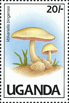 Briefmarke