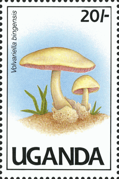 Briefmarke
