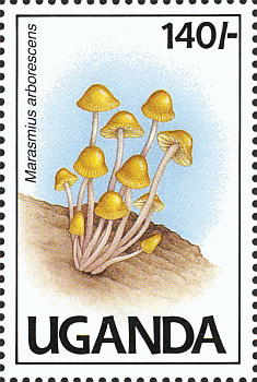 Briefmarke