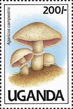 Briefmarke