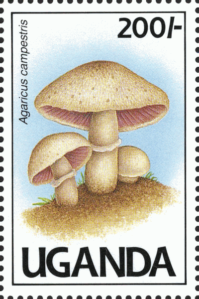 Briefmarke