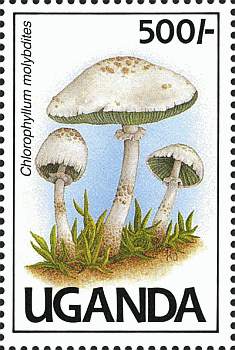 Briefmarke