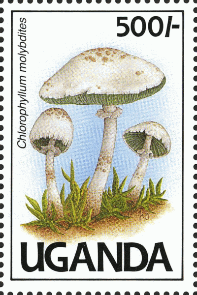 Briefmarke