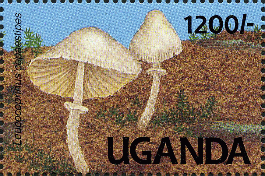 Briefmarke