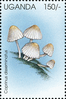 Briefmarke