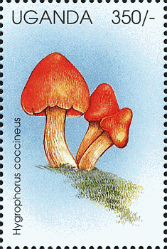 Briefmarke