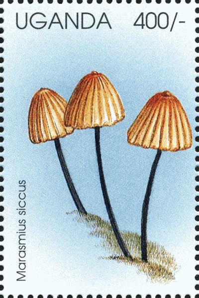 Briefmarke