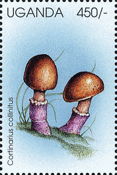Briefmarke