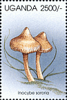 Briefmarke