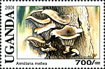 Briefmarke
