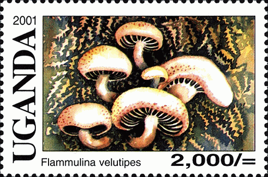 Briefmarke