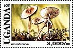 Briefmarke