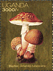 Briefmarke