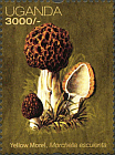 Briefmarke
