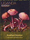 Briefmarke