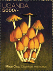 Briefmarke