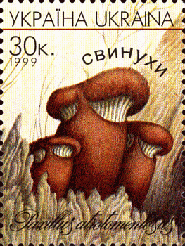 Briefmarke