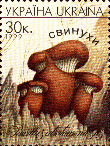 Briefmarke