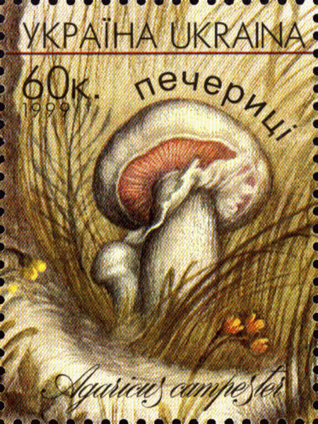 Briefmarke