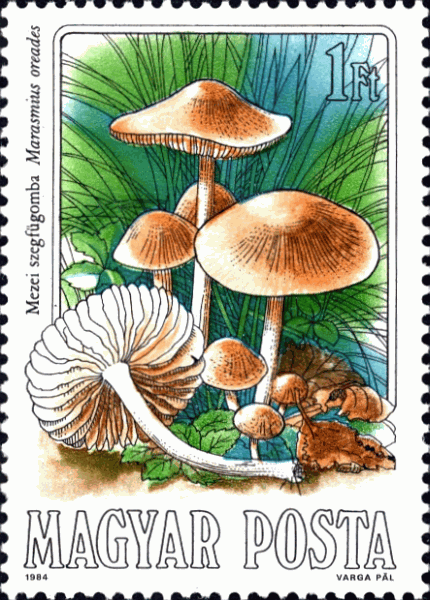 Briefmarke